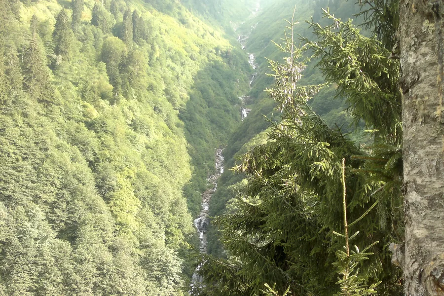 Ayder Yaylası ve çevresindeki yeşil dağ manzarası